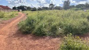 40 BY 80 PLOTS FOR SALE IN JUJA, GWA KAIRU.