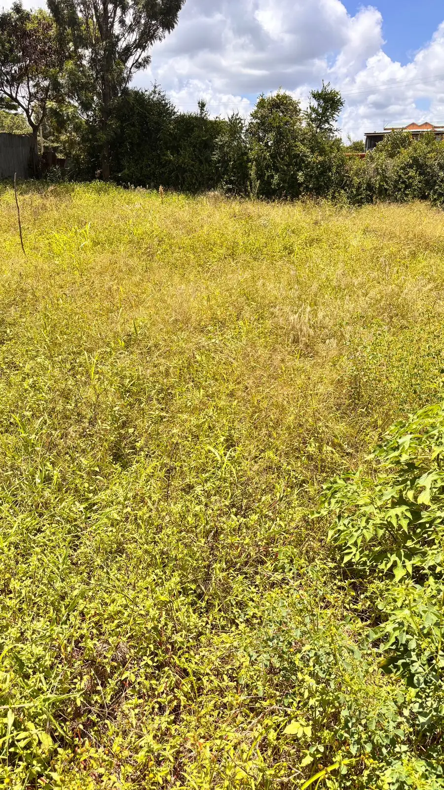 40 BY 80 PLOTS FOR SALE IN JUJA, GWA KAIRU.