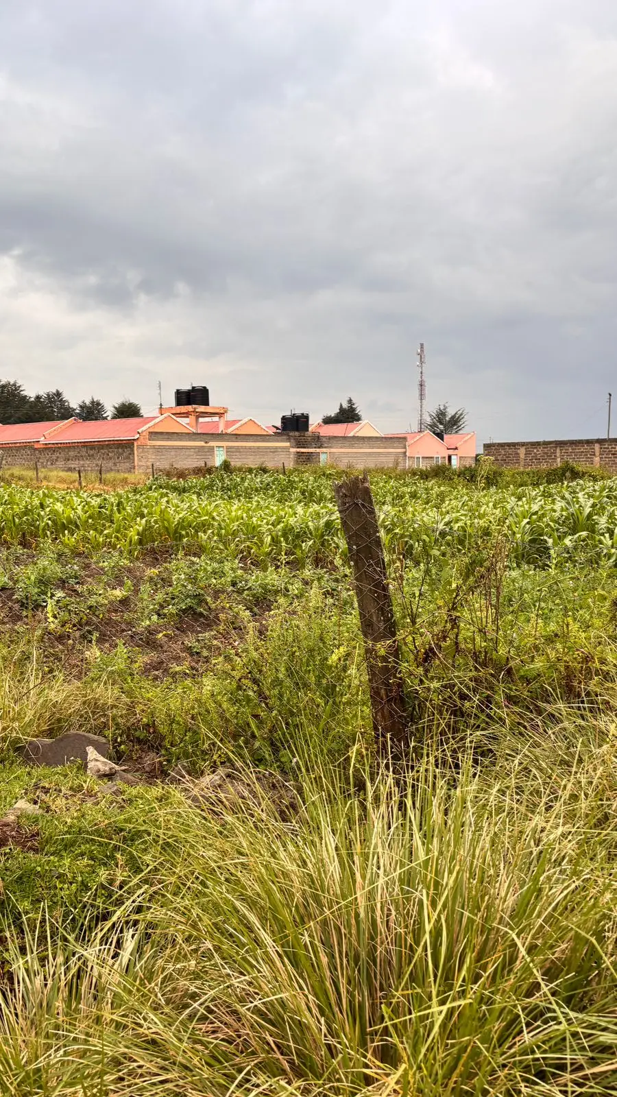 1/2 ACRE FOR SALE IN NYANDARU, ENGINEER TOWN.