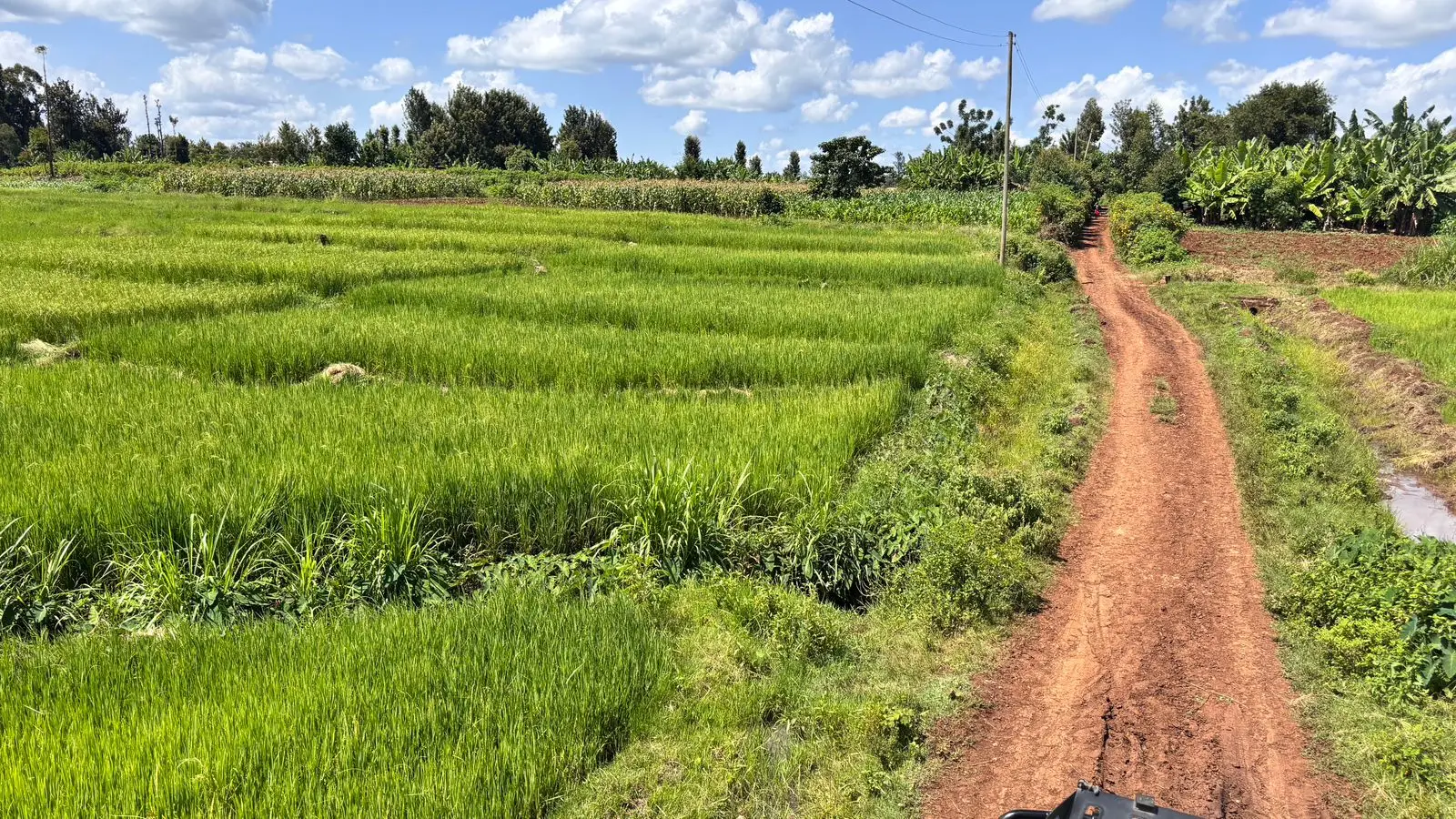 1 ACRE FOR SALE IN KIRINYAGA, KIMBIMBI.