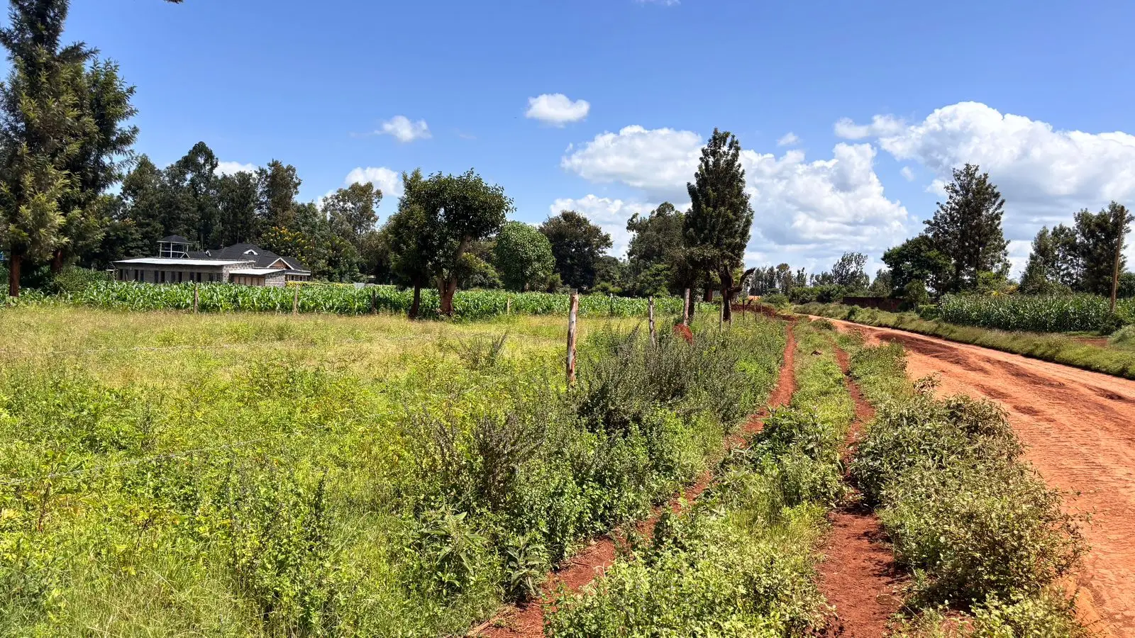 QUARTER ACRE FOR SALE IN MWEA, KIMBIMBI.
