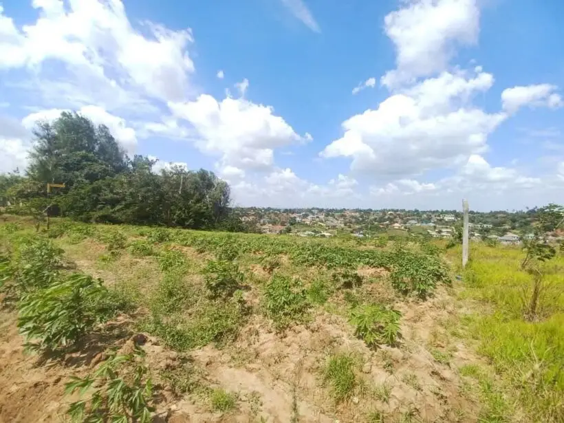 LAND FOR SALE IN MERU, SOUTH IMENTI.