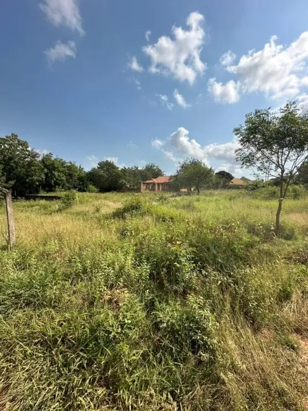 50 BY 100 PLOTS FOR SALE IN NAIVASHA, MIRERA.