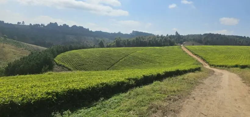 1 ACRE FOR SALE IN KERICHO COUNTY, SIGOWET-SOIN.
