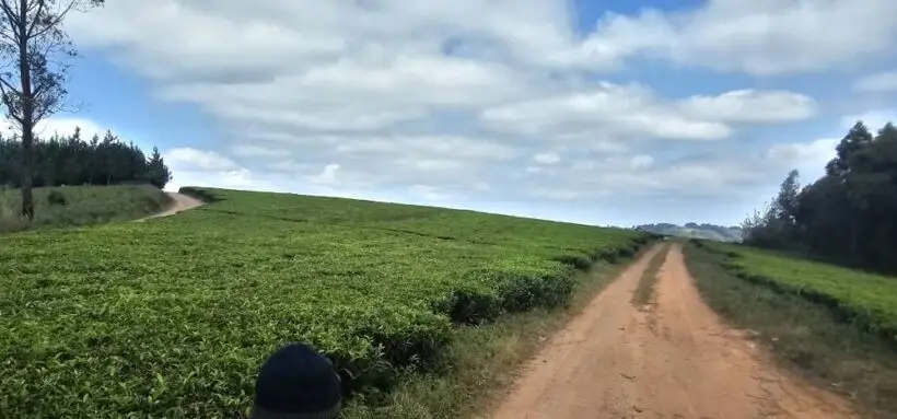 1 ACRE FOR SALE IN KERICHO COUNTY, SIGOWET-SOIN.