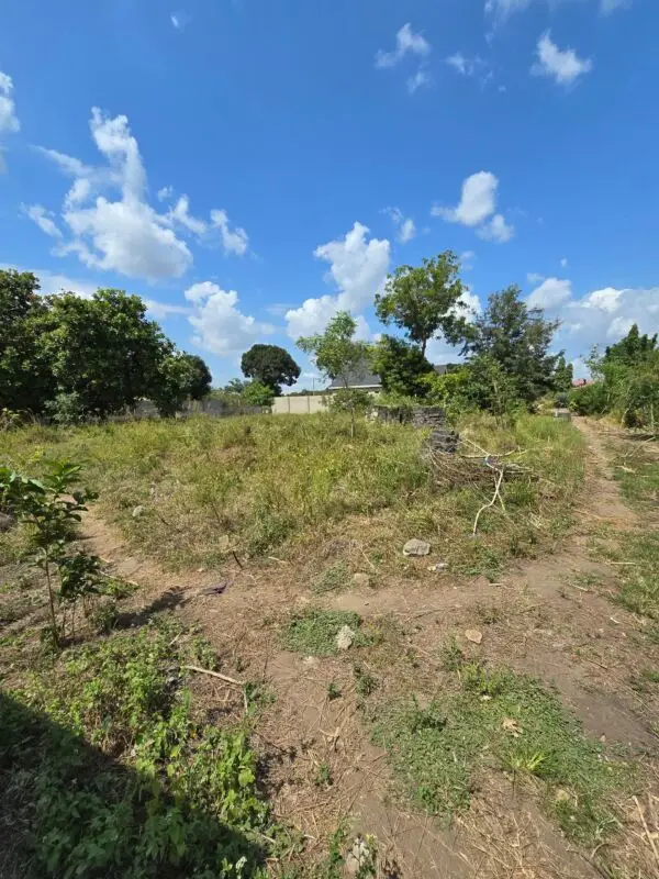 plots for Sale in Juja, Kwa Murage.