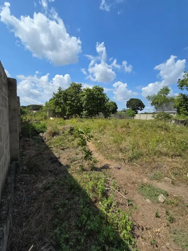 50 BY 100 PLOTS FOR SALE IN JUJA, KWA MURAGE.