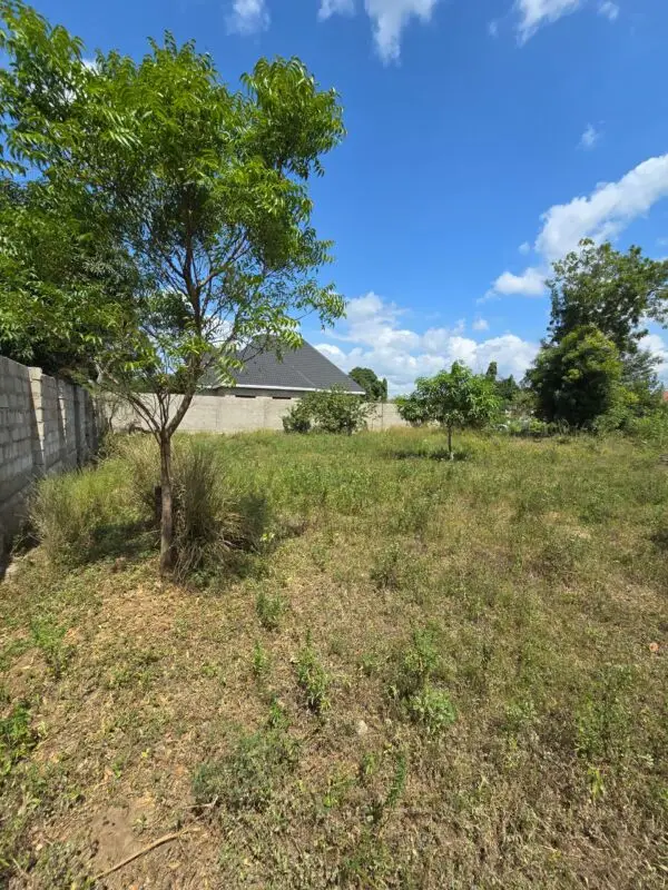 50 BY 100 PLOTS FOR SALE IN JUJA, KWA MURAGE.