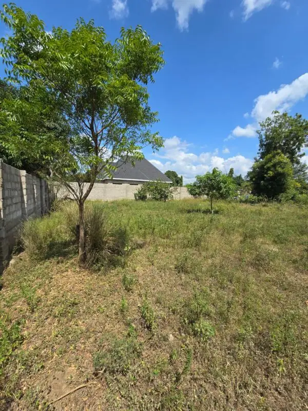 50 BY 100 PLOTS FOR SALE IN JUJA, KWA MURAGE.