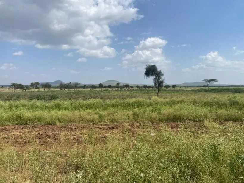 1 ACRE FOR SALE IN MACHAKOS, KITHIMANI.