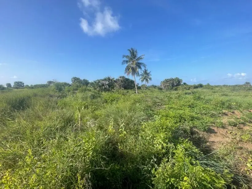 2 ACRES FOR SALE IN MAGARINI, MAARAFA.