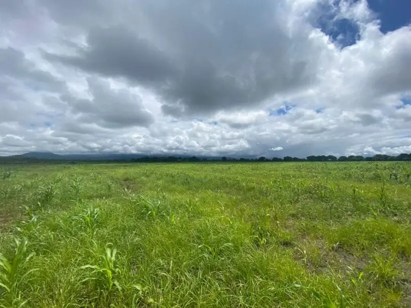 5 ACRES FOR SALE IN MWEA, THIBA.