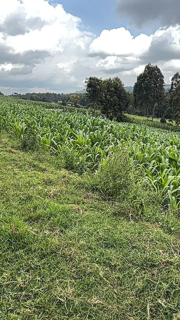 LAND FOR SALE IN NYAHURURU, IGWAMITI.