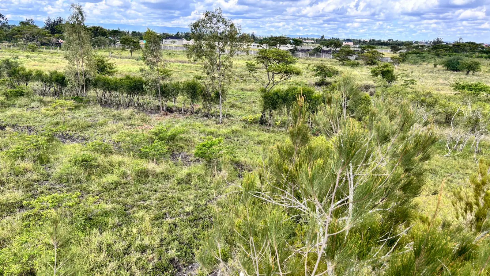 50 BY 100 PLOTS FOR SALE IN JUJA FARM.