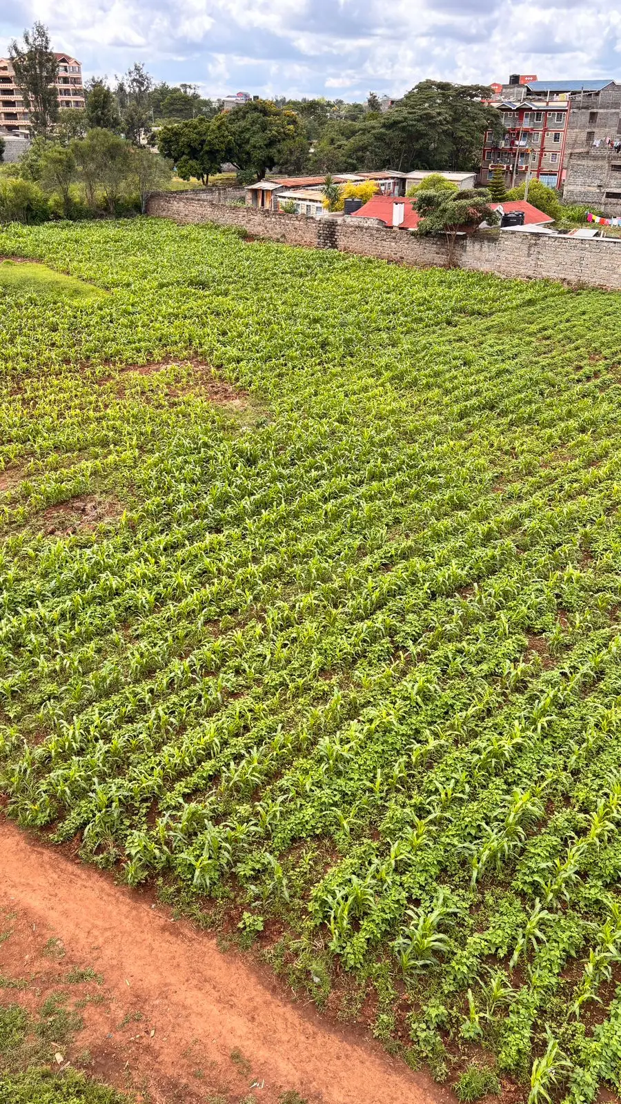 40 BY 60 PLOTS FOR SALE IN JUJA, GWA KAIRU.