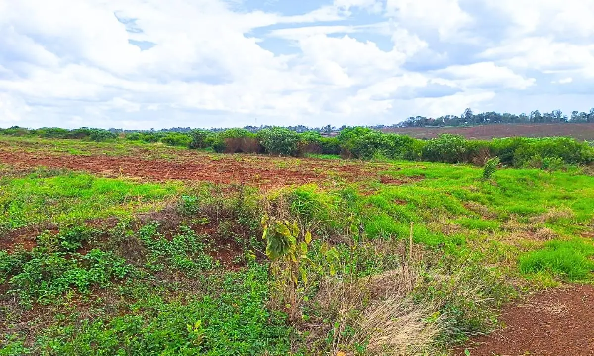1 ACRE COMMERCIAL LAND FOR SALE IN MURERA, MUGUTHA.