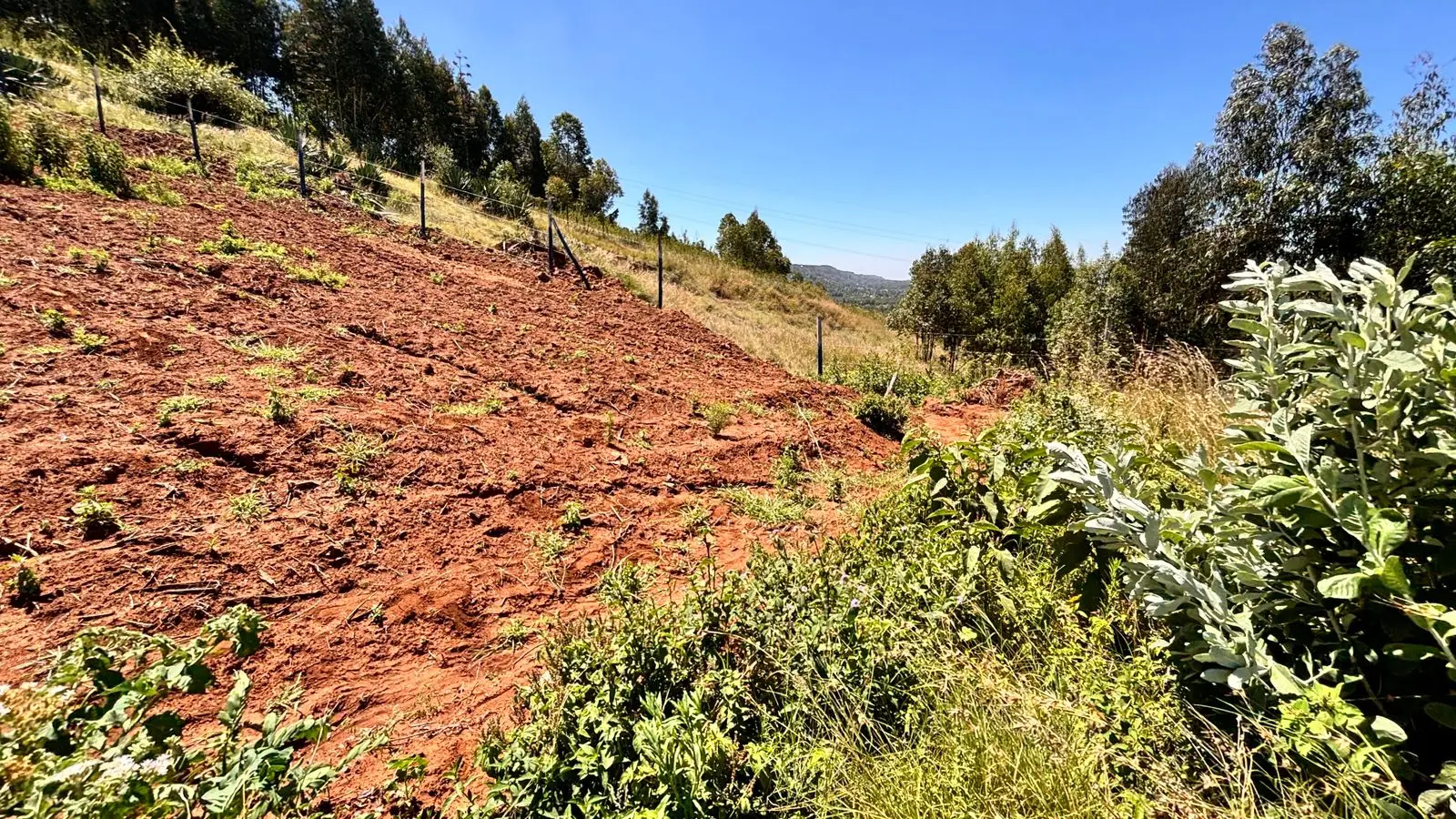 50 BY 100 PLOTS FOR SALE IN KIKUYU, THIGIO.