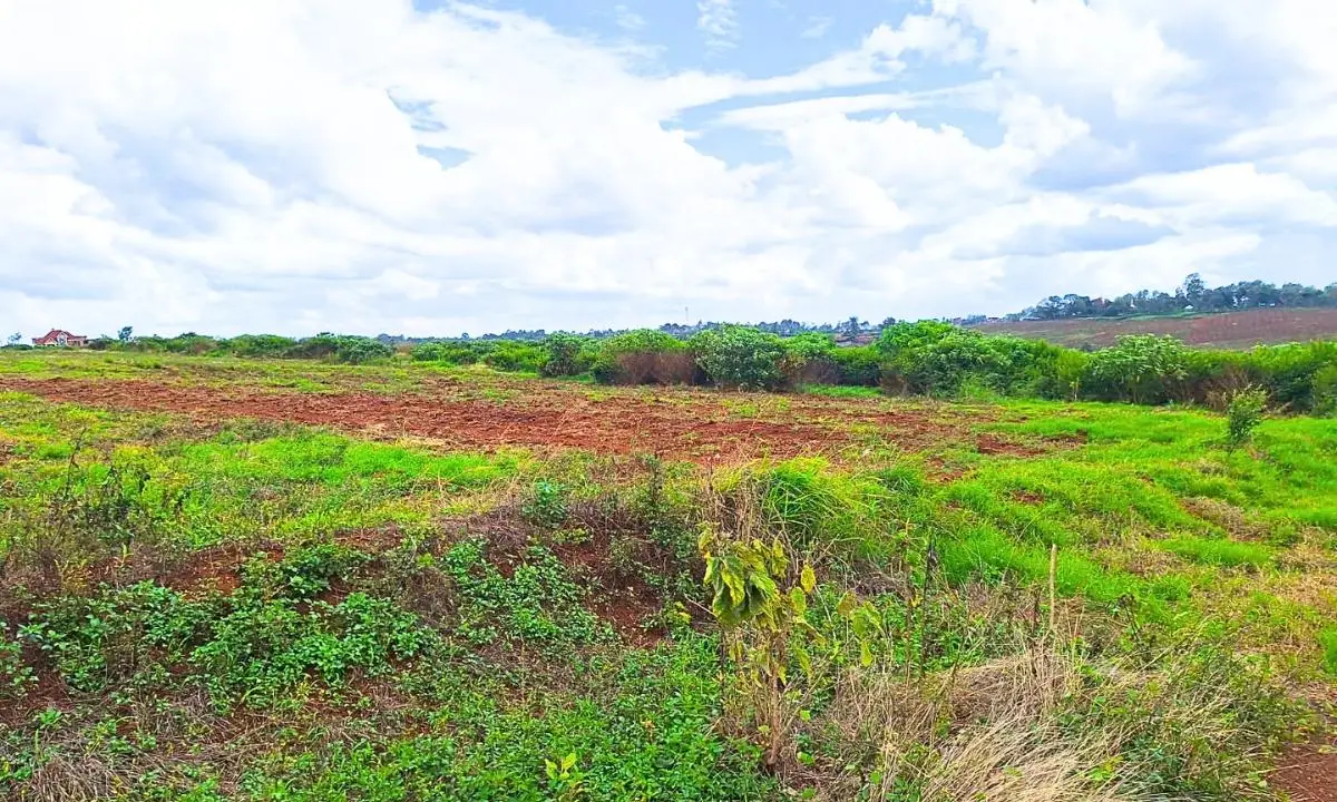 1 ACRE COMMERCIAL LAND FOR SALE IN MURERA, MUGUTHA.