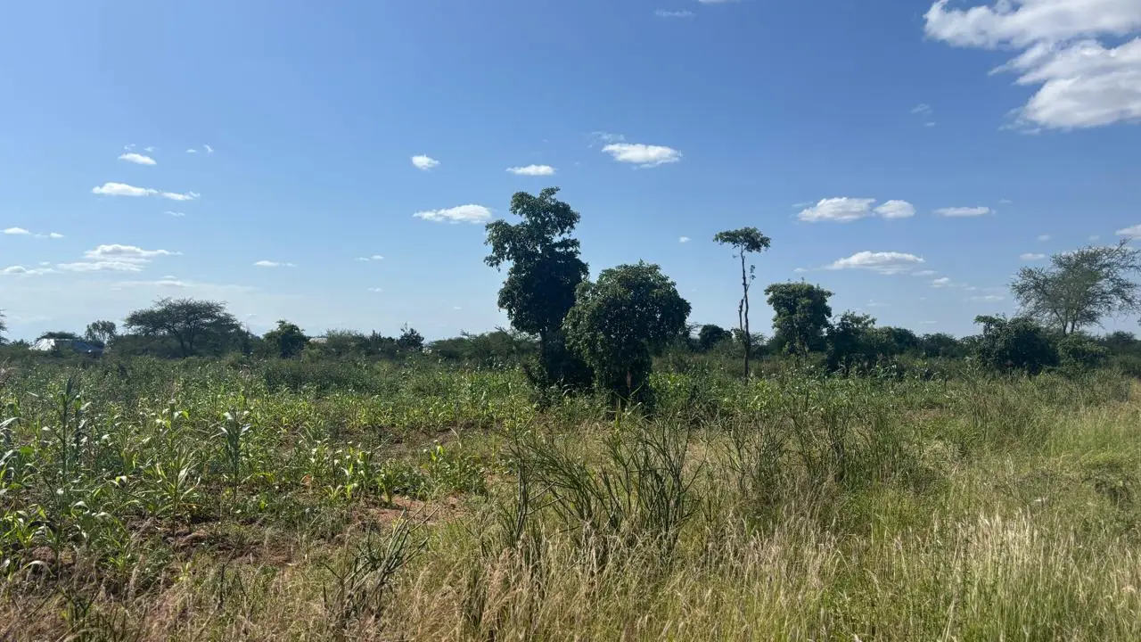 LAND FOR SALE IN MACHAKOS, MASINGA.