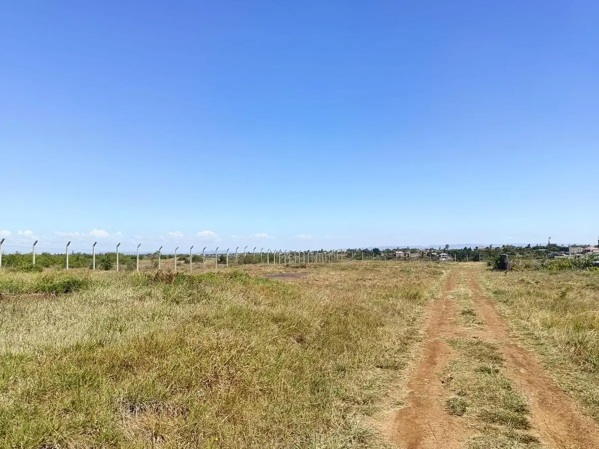50 BY 100 PLOTS FOR SALE IN JUJA, KALIMONI.