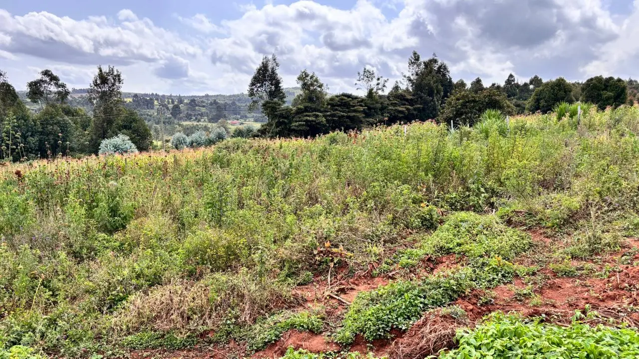 50 BY 100 PLOTS FOR SALE IN KIKUYU, THIGIO.