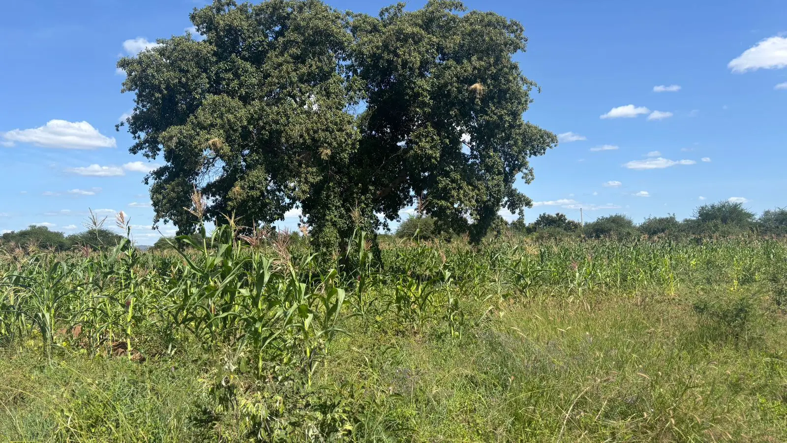 LAND FOR SALE IN MACHAKOS, MASINGA.