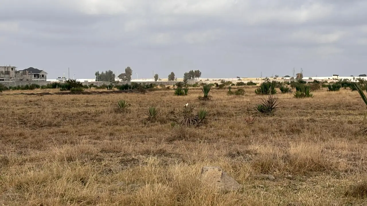 50 BY 100 PLOTS FOR SALE IN JUJA, KALIMONI.