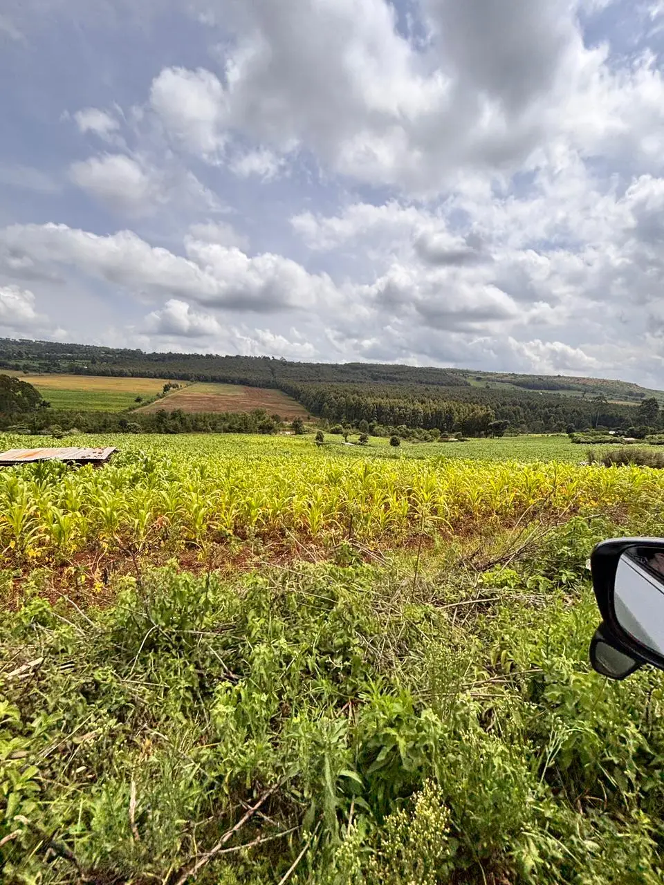 100 BY 100 PLOTS FOR SALE IN KINANGOP, ENGINEER