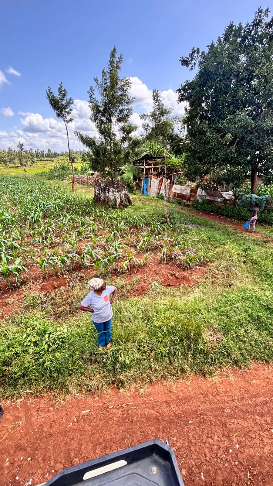 1 ACRE FOR SALE IN KIRINYAGA, KIMBIMBI.
