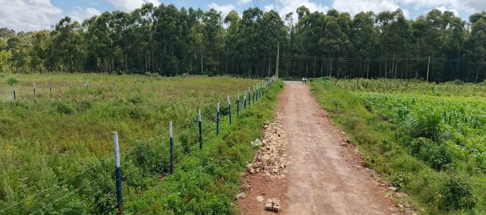 50 BY 100 PLOTS FOR SALE IN KIKUYU, NGUIRUBI.