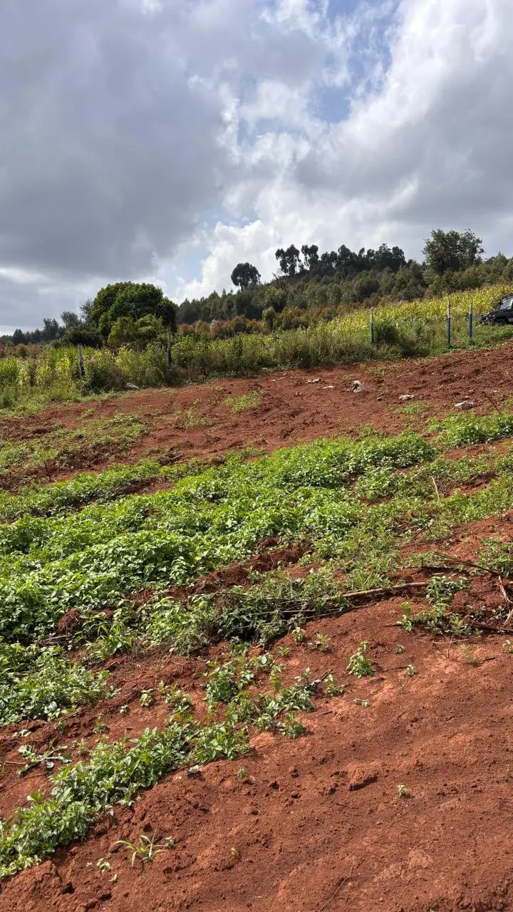 PLOTS FOR SALE IN KIKUYU, THIGIO.