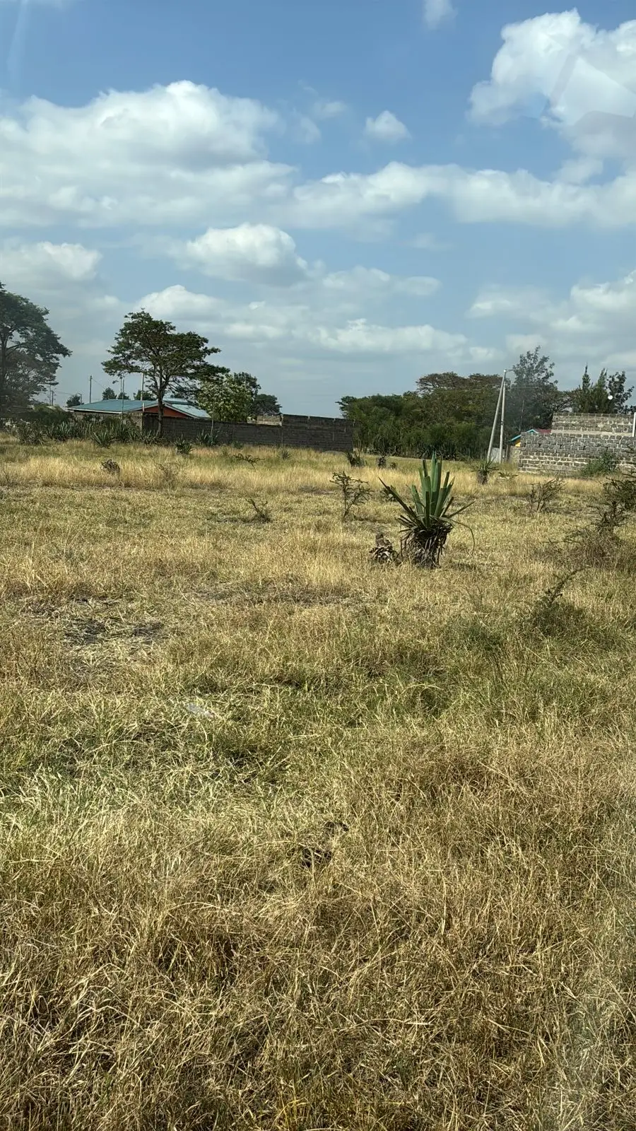 PLOTS FOR SALE IN KALIMONI, JUJA.