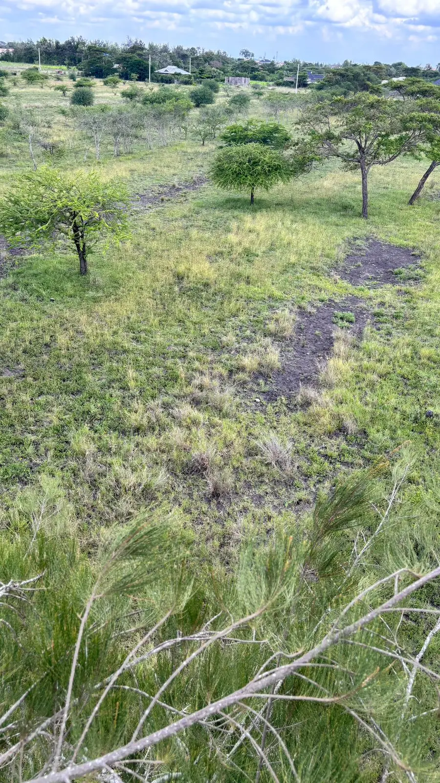 50 BY 100 PLOTS FOR SALE IN JUJA FARM.
