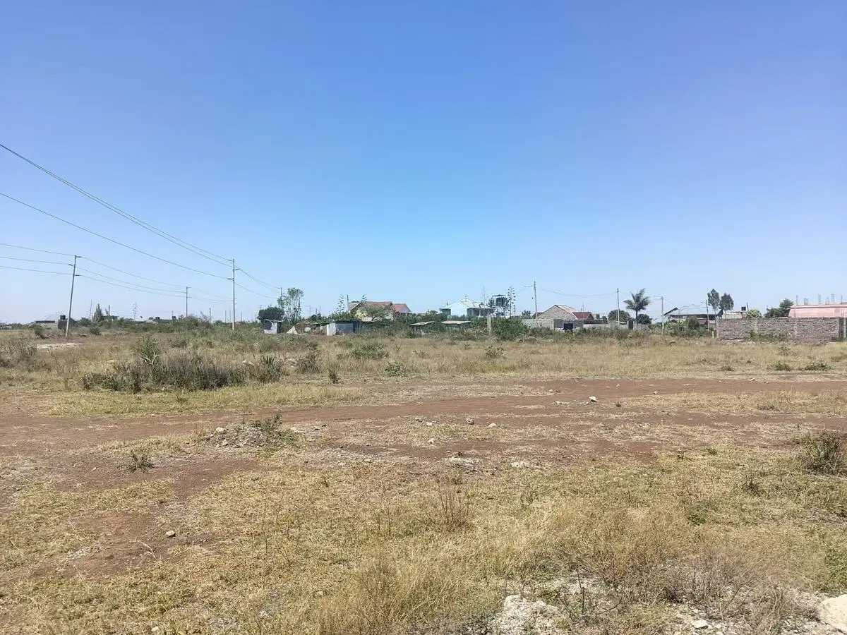 50 BY 100 PLOTS FOR SALE IN JUJA, KALIMONI.