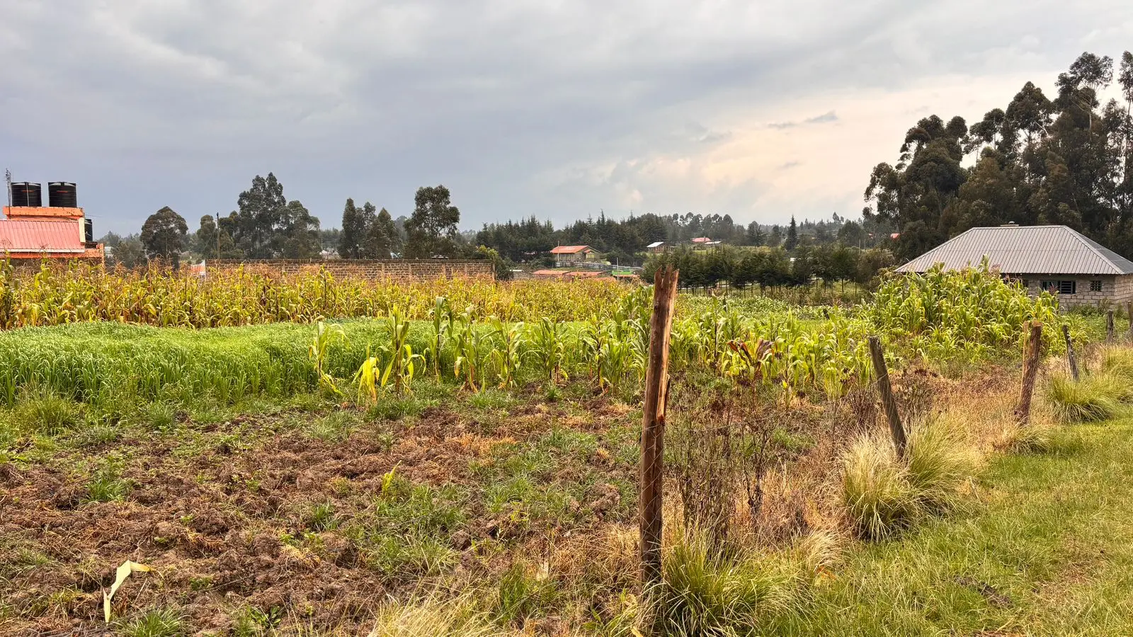 1/2 ACRE FOR SALE IN NYANDARU, ENGINEER TOWN.