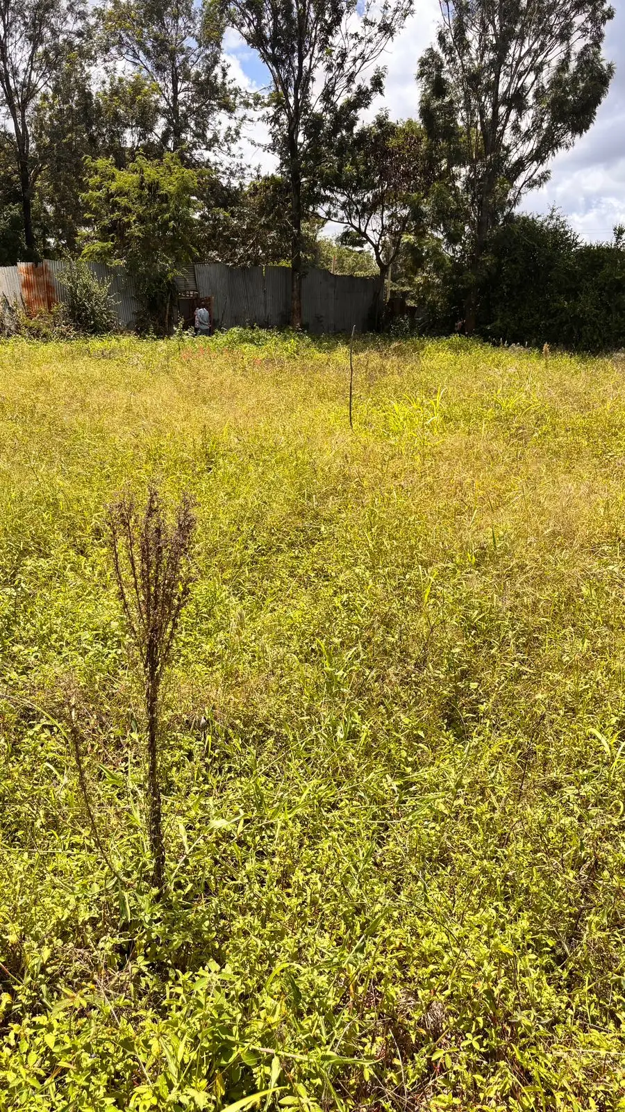 40 BY 80 PLOTS FOR SALE IN JUJA, GWA KAIRU.