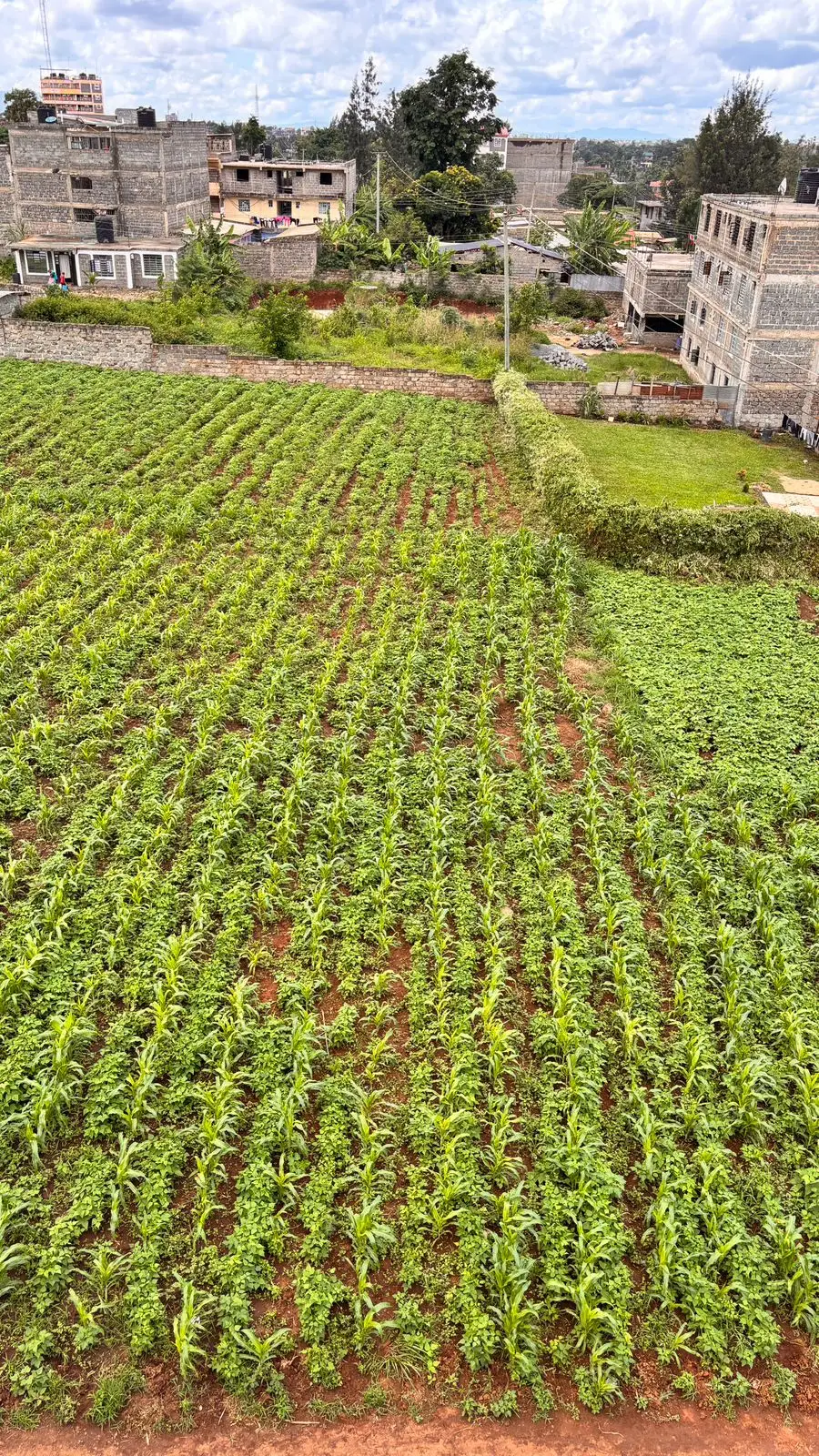 40 BY 60 PLOTS FOR SALE IN JUJA, GWA KAIRU.