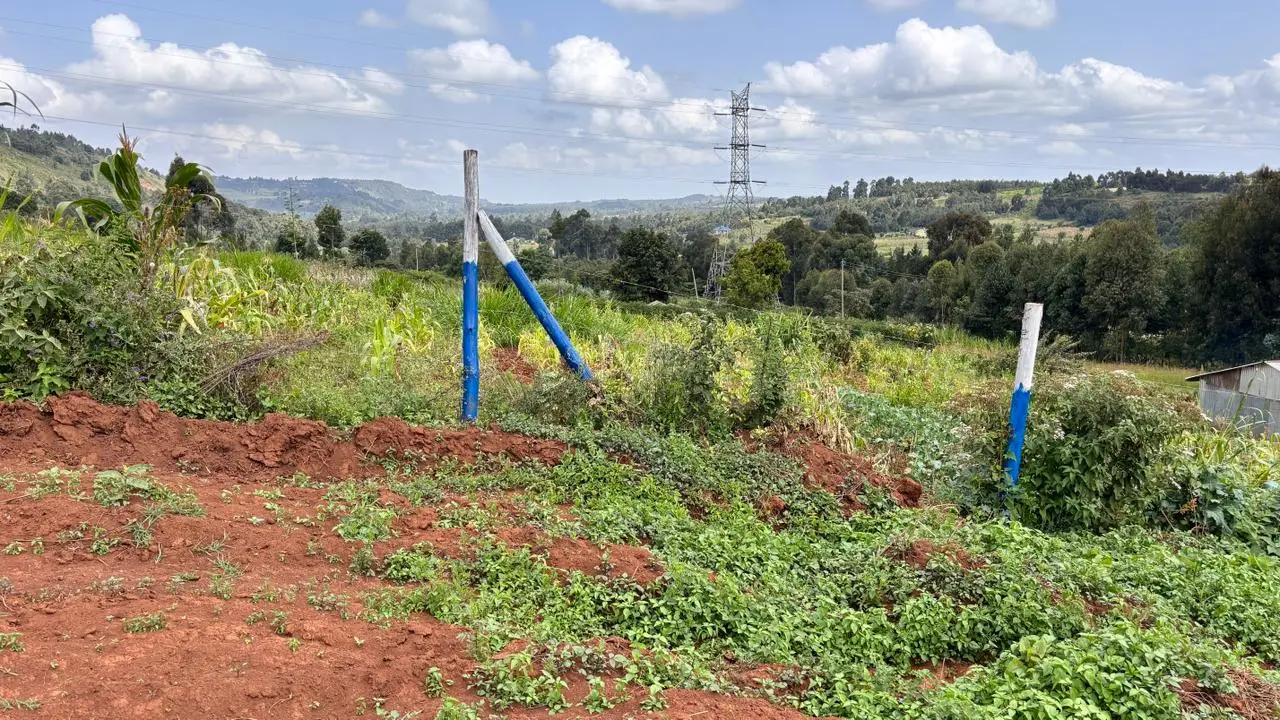 50 BY 100 PLOTS FOR SALE IN KIKUYU, THIGIO.