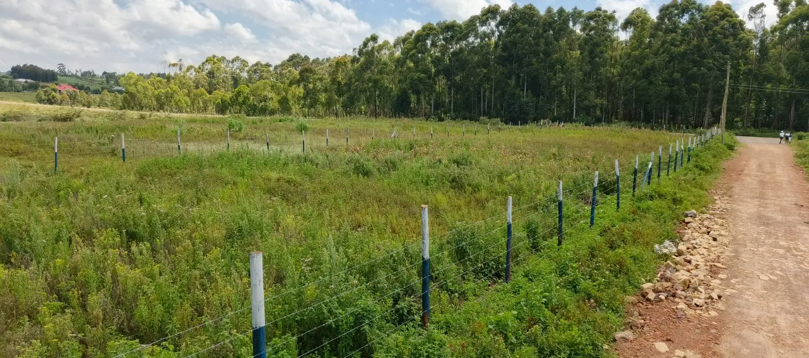 50 BY 100 PLOTS FOR SALE IN KIKUYU, NGUIRUBI.