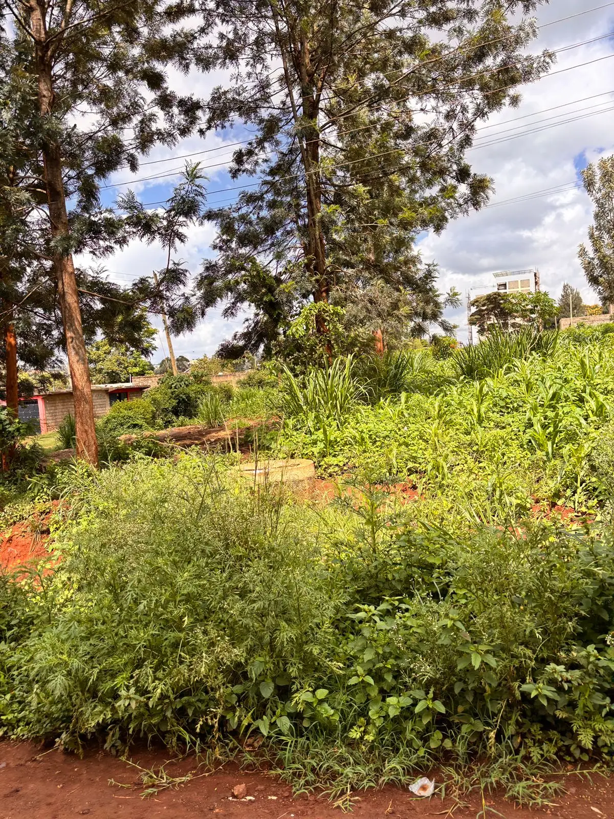 40 BY 60 PLOTS FOR SALE IN JUJA, GWA KAIRU.