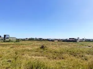 50 BY 100 PLOTS FOR SALE IN JUJA, KALIMONI.