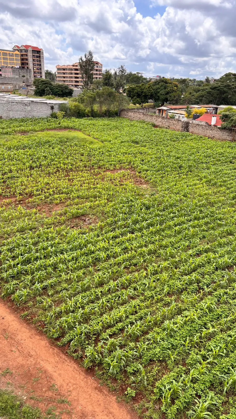 40 BY 60 PLOTS FOR SALE IN JUJA, GWA KAIRU.
