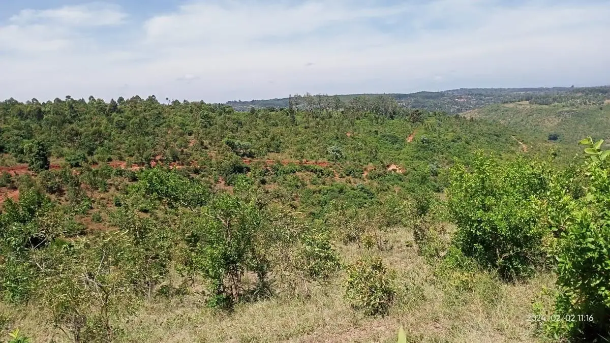 1 ACRE FOR SALE IN MAKUYU, MURANG'A.