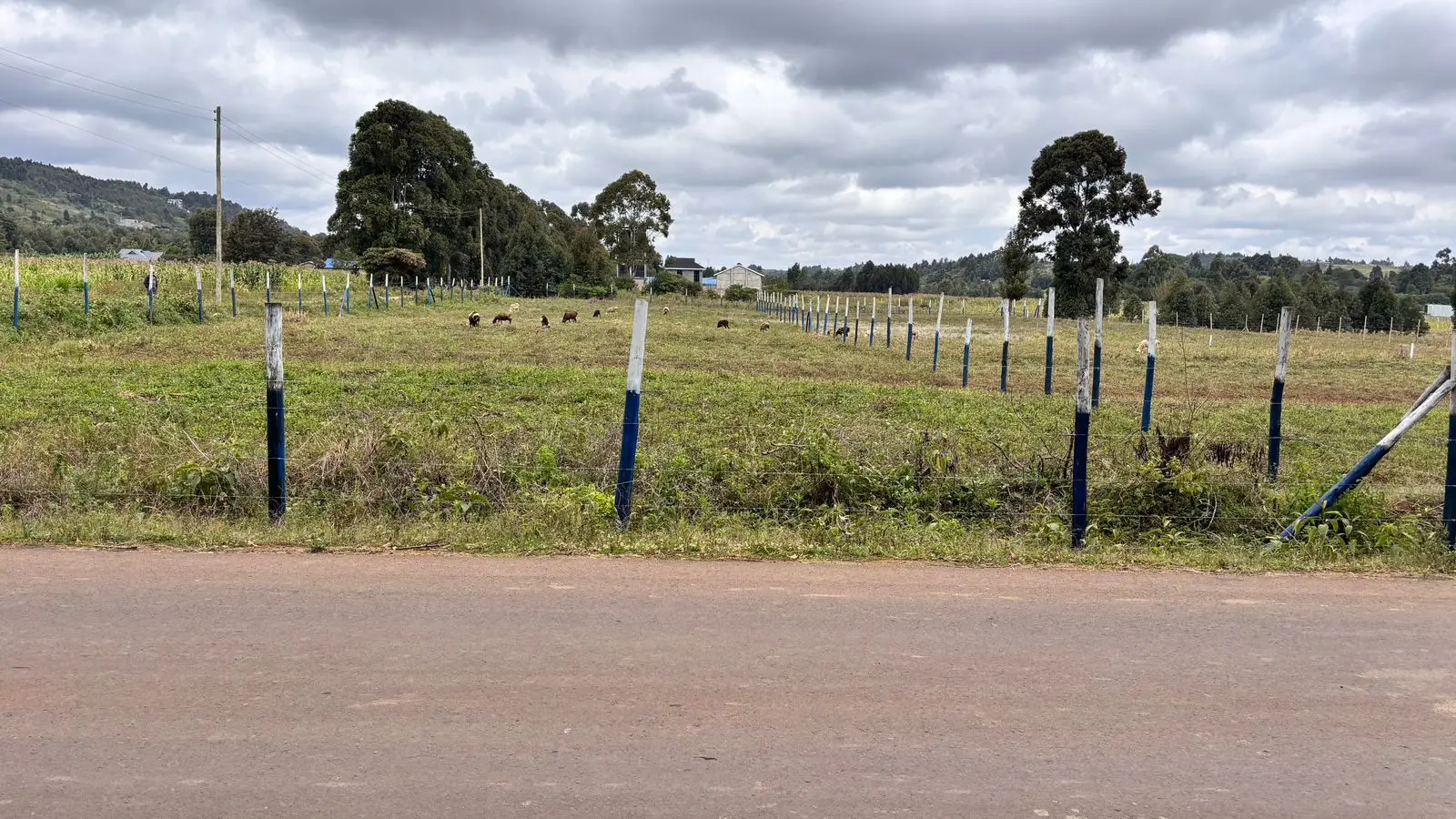 50 BY 100 PLOTS FOR SALE IN NDEIYA, NGUIRUBI.