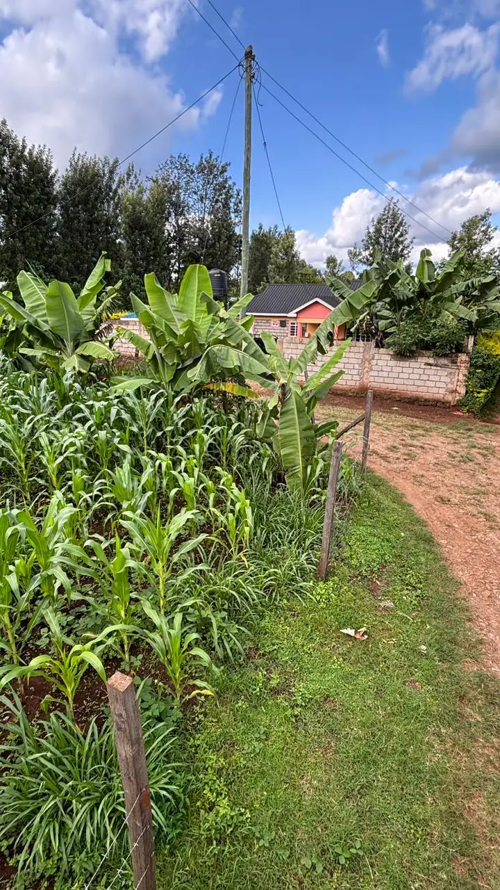 QUARTER ACRE FOR SALE IN KIRINYAGA, KIRUGOYA.