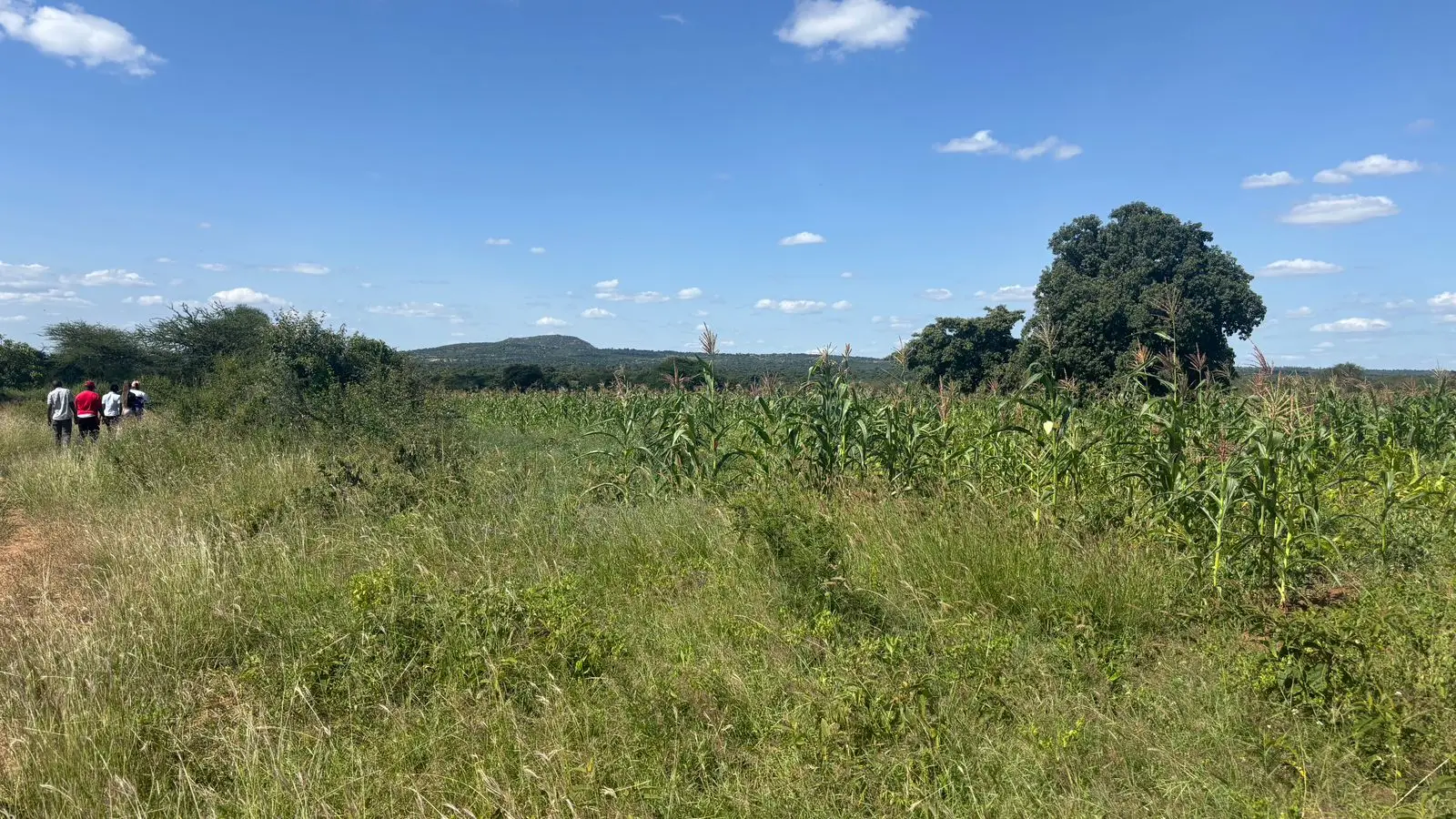 LAND FOR SALE IN MACHAKOS, MASINGA.