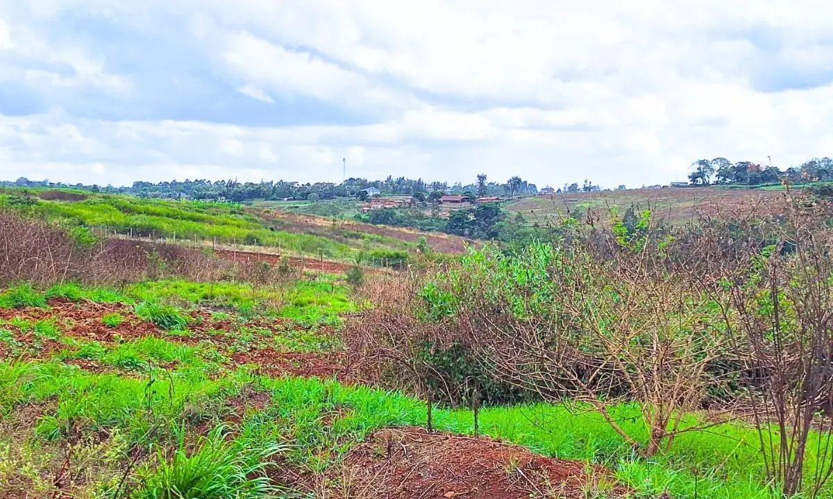 1 ACRE COMMERCIAL LAND FOR SALE IN MURERA, MUGUTHA.