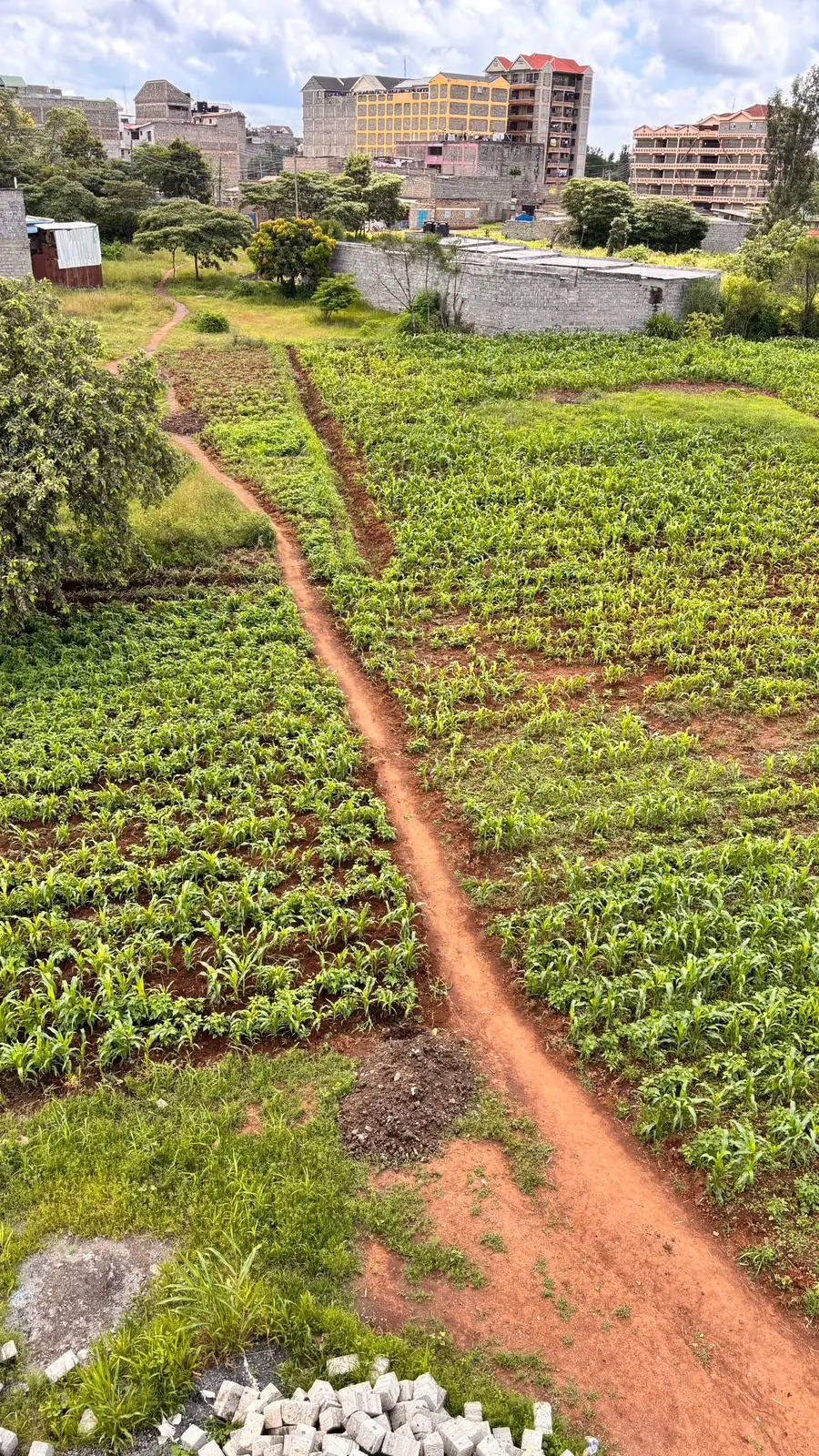 40 BY 60 PLOTS FOR SALE IN JUJA, GWA KAIRU.