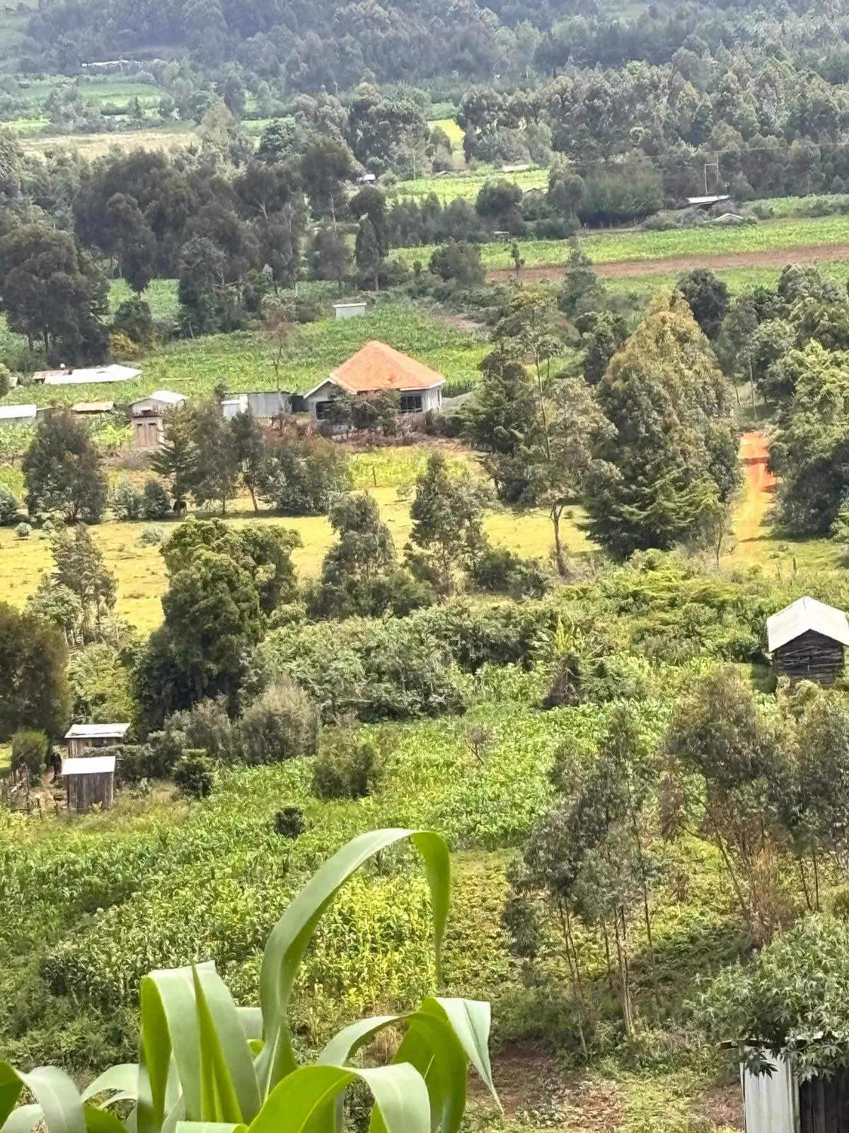 LAND FOR SALE IN LAIKIPIA WEST, IGWAMITI SALAMA.