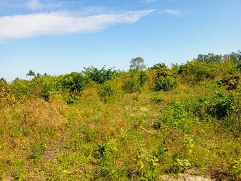 QUARTER ACRE FOR SALE IN KITUI, MBEERE SOUTH.